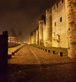 Languedoc la cite at night