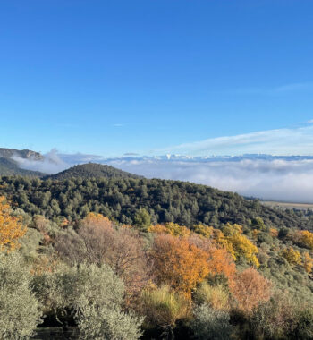 Alps-Haute-Prov-horizon2